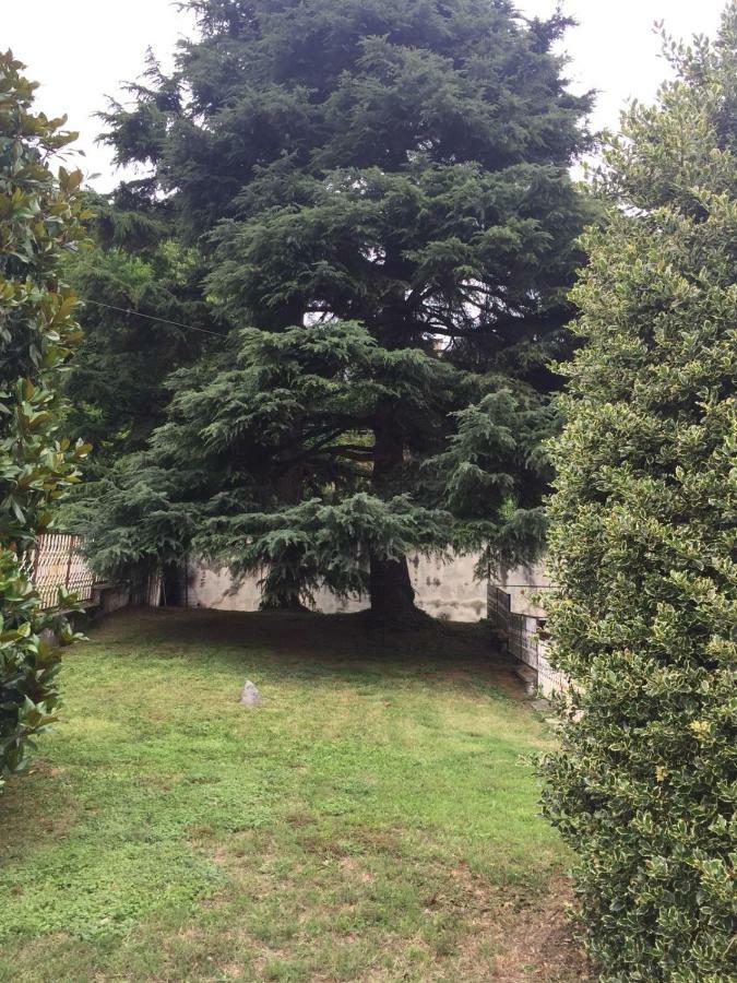 Casa Serena Solonghello Dış mekan fotoğraf